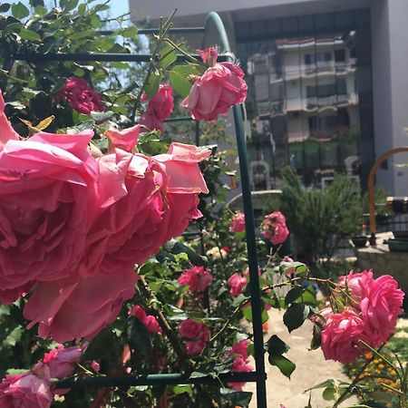 Apartments Milena Тиват Екстер'єр фото